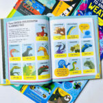 Usborne Lots of Things to Know About – Bộ sách khoa học khám phá cho bé (Full 5 cuốn) 7 z6764607429860 eb4cbd2679dd7c2a15e29c00c205f7c2