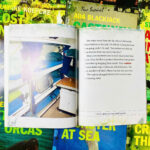 True Survival – Bộ sách tiếng Anh khám phá kỹ năng sinh tồn thực tế (Full 12 cuốn) 4 z6764610842853 4c83a5a78c65d0ca03c192fc417d5663