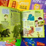 The Science Of – Bộ sách khoa học khám phá (Trọn bộ 15 cuốn, Scholastic) 10 z6764632226653 0887e3129b3793b702f53ec358fd86e8