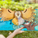 z6832294096756 ddfa1cf59d87770d548883447ed30083