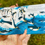 z6832294146814 de4e8cb3af89fd078eef86fa35315d01