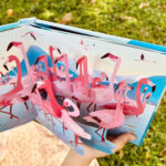 z6832294196546 b11e0fecae758b9d03b8f60d5e2c0dbc