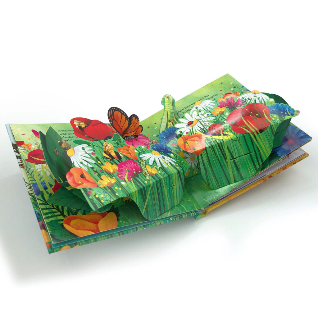 Usborne Pop up Seasons