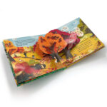 z6832343166305 c6baeef830e6ddc11cb2392374880276