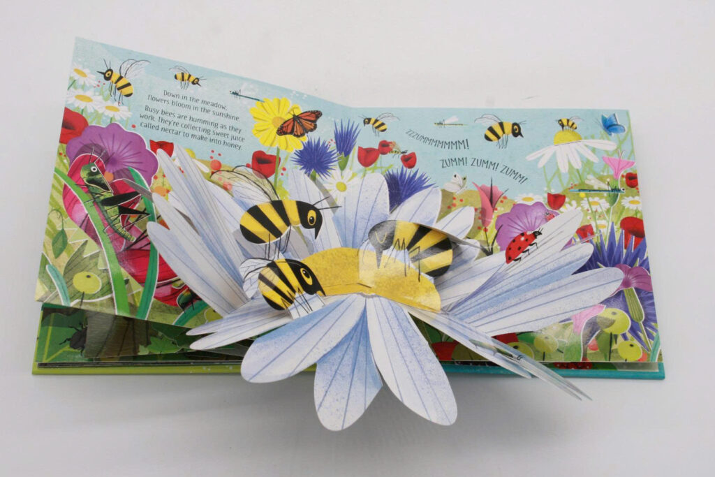 Usborne Pop up Nature