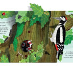 z6832369919463 33f3f84d48c899d3e0cd59217fc1aa16