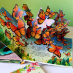 z6832389666306 dc0cea74af560f593fb91905d55e76d6