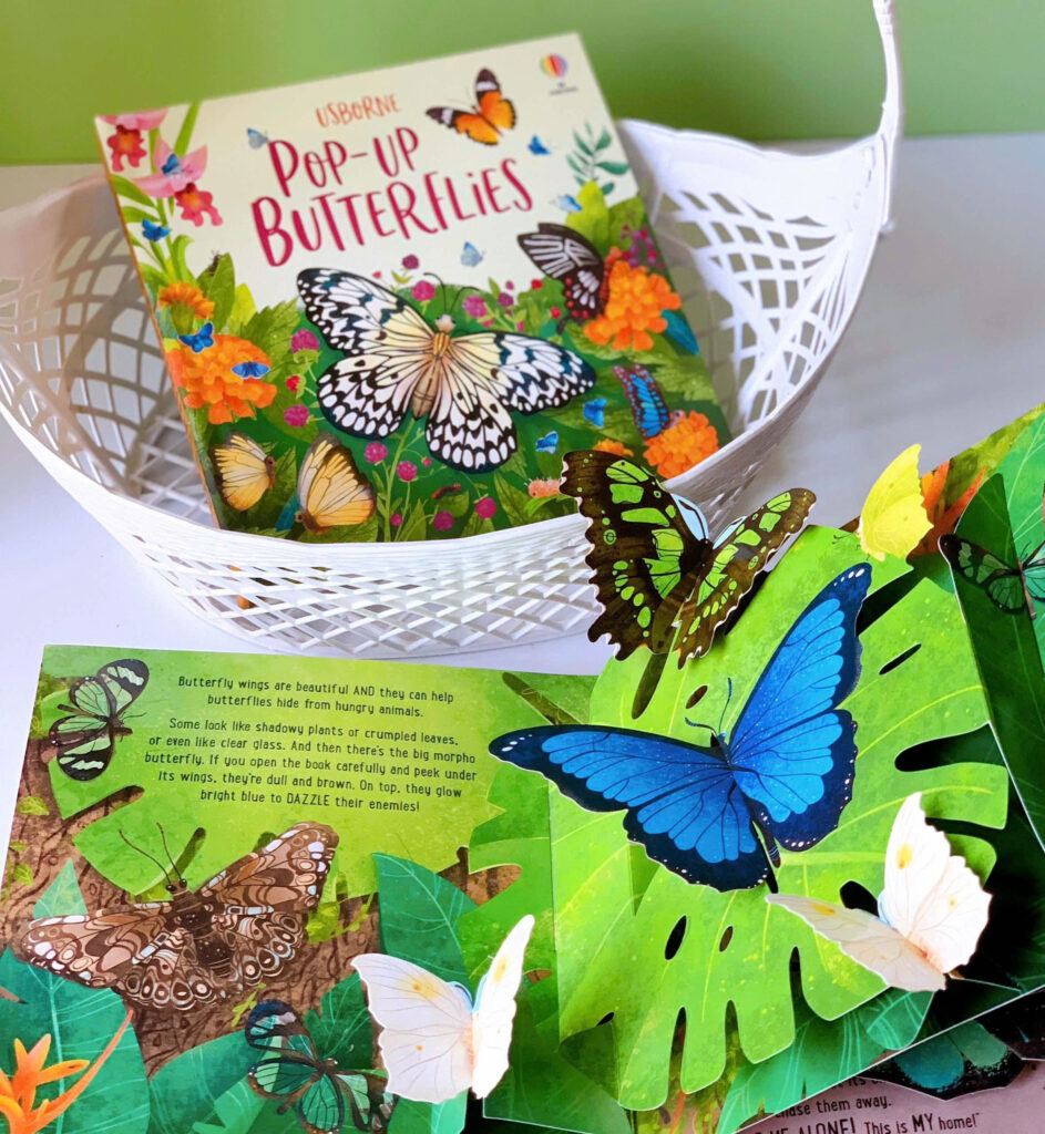 Usborne Pop up Butterflies