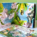 z6832389700787 65ef7d5d300496a8f82c909ffe641adf