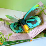 z6832389717369 0f97624ce212094224b82eabe5f70e87