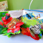 z6832389753294 01b1537d9cbeb6e5e0d1ad1c9f02ccda