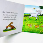 z6929148791781 ee267ea080ed81ceb996e18e3628a7a6