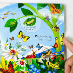 Sách Brilliant Bugs – Bé khám phá thế giới côn trùng qua sách kéo trượt