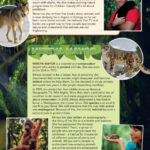 z7051652234629 c3a5fd125e087330825cdc6087707203