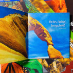 z7064718114415 22321046166734ccf545195ccf685ce3 1