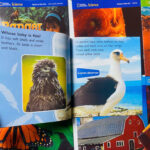 z7064718259785 e4116cb92ee5346c1214df17390165fc