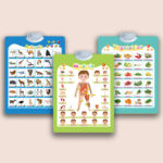 Bộ bảng học treo tường thông minh phát âm tiếng Anh – Giúp bé học ngôn ngữ dễ dàng mỗi ngày 14 Bảng học tiếng Anh phát âm tự động, cảm ứng dễ thao tác cho trẻ nhỏ