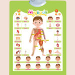 Bộ bảng học treo tường thông minh phát âm tiếng Anh – Giúp bé học ngôn ngữ dễ dàng mỗi ngày 6 o1cn01lakxci2lpqwbg1vnl 2087129741 0 cib