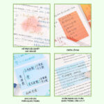 Sticky Note Màu Trong Suốt Ánh Ngọc Trai – Ghi Chú Đẹp, Dán Sách Không Lem, Tiện Dụng Gấp Đôi 3 z7094467420048 8b1edb1e14e6c19d2fe4db772119f9f5