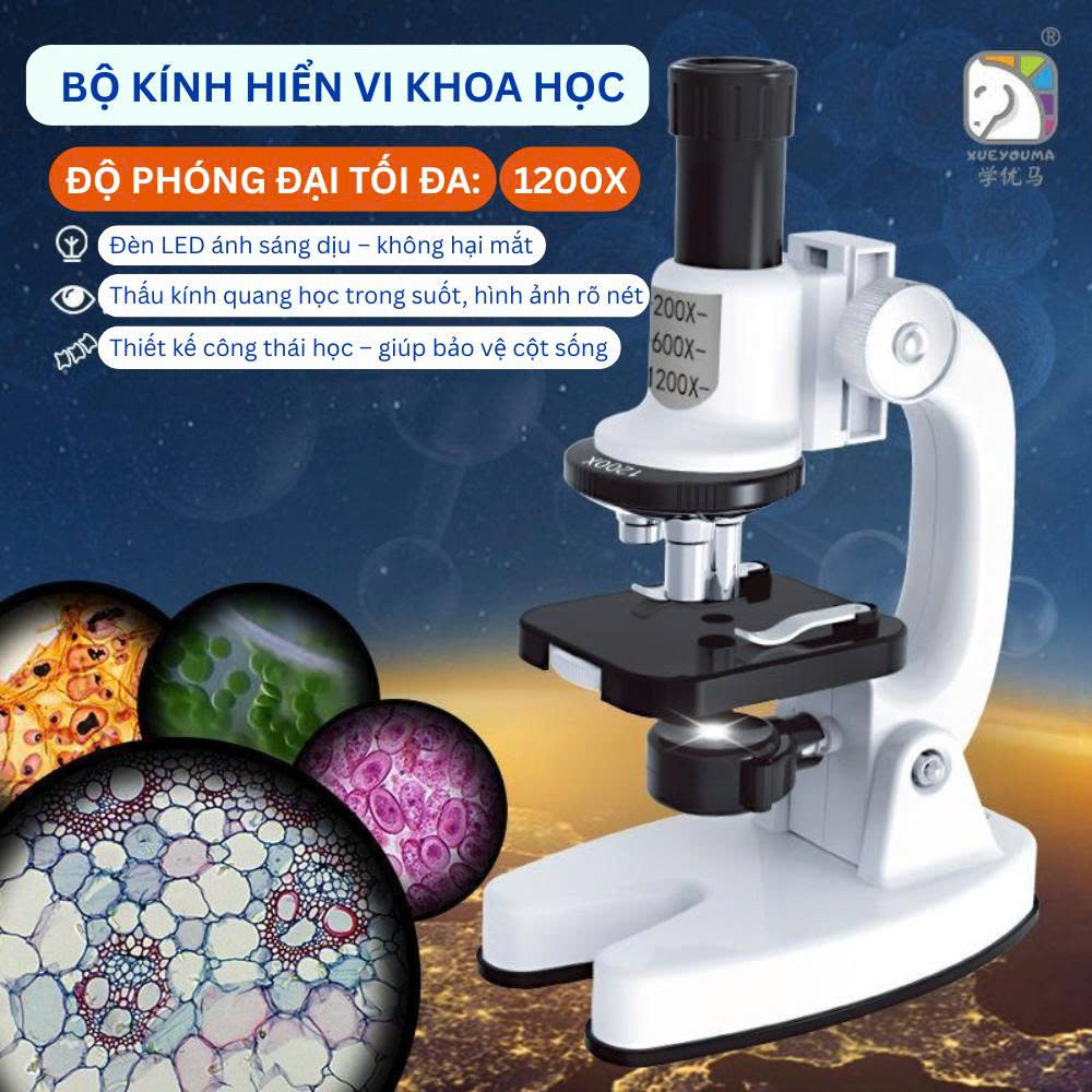 z7121967385177_8228403f6d65787452a59ae07e24935c z7121967385177 8228403f6d65787452a59ae07e24935c