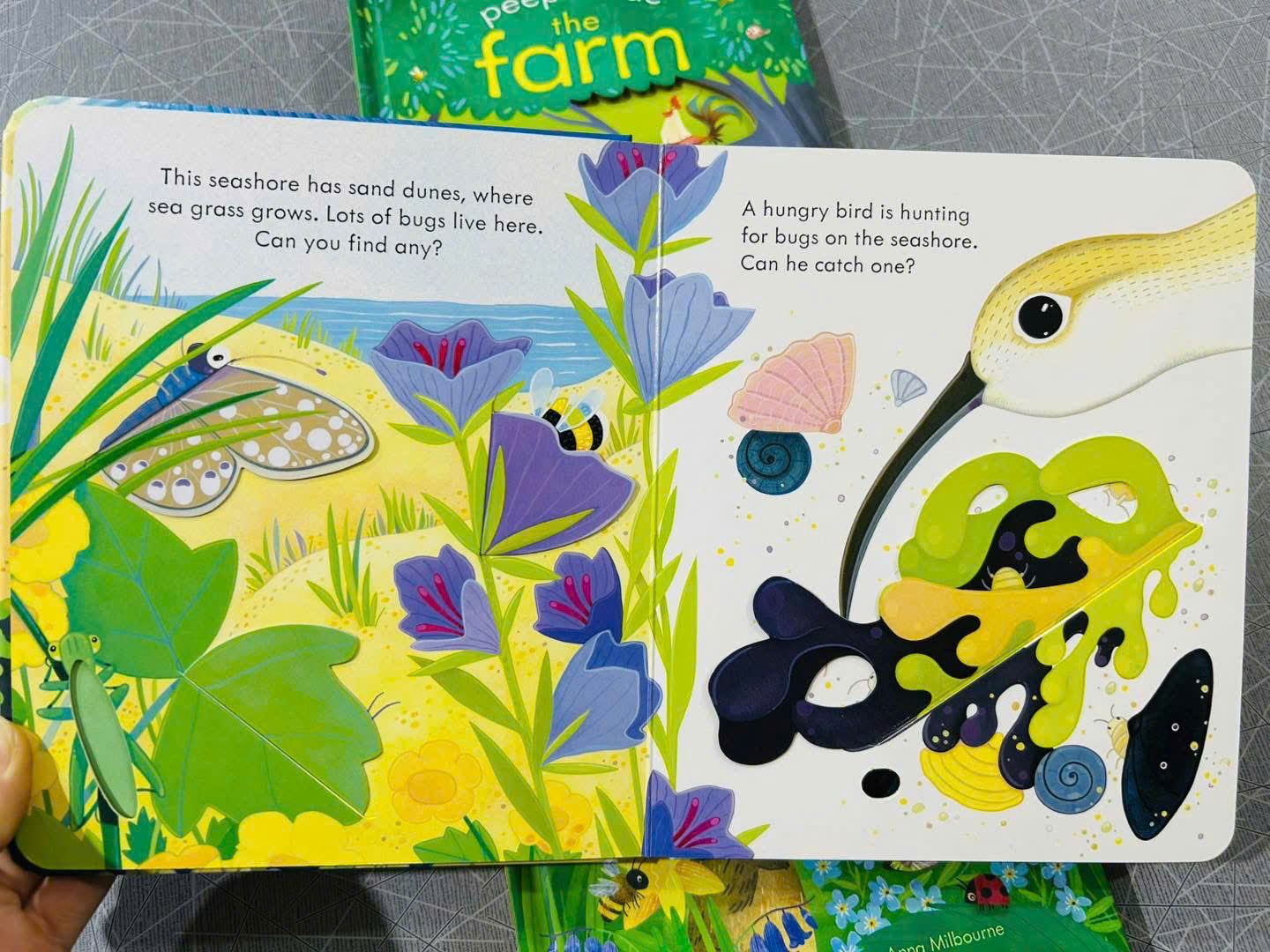 z7126626260635_8162b08143ffcd1fc21da856cf04481a z7126626260635 8162b08143ffcd1fc21da856cf04481a