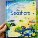 z7126626284098 8e4763343def1715a547f0377ddaa615