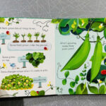 z7126626353980 d340aa44585daf182ac4d746ce8e788b