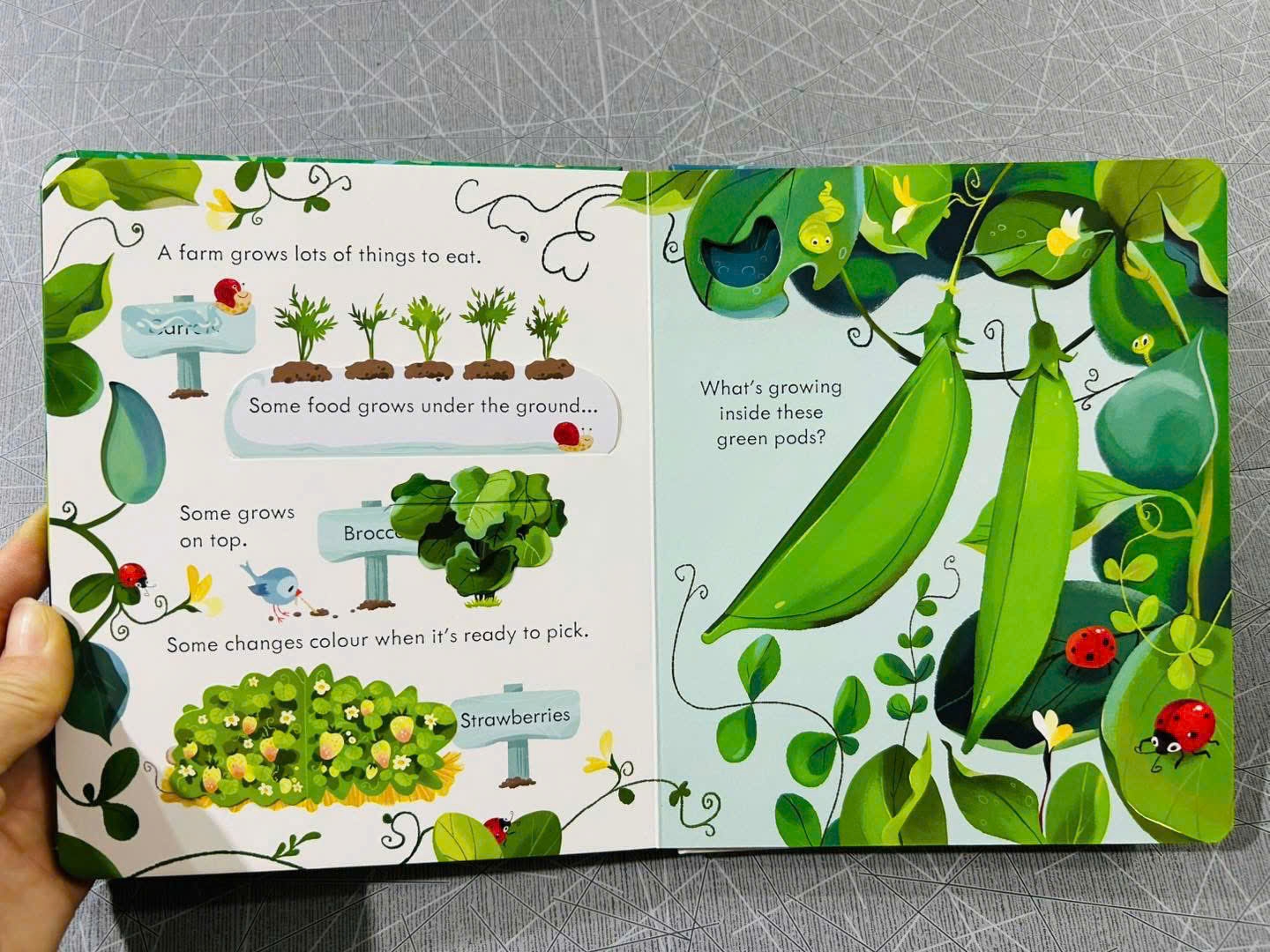 z7126626353980_d340aa44585daf182ac4d746ce8e788b z7126626353980 d340aa44585daf182ac4d746ce8e788b