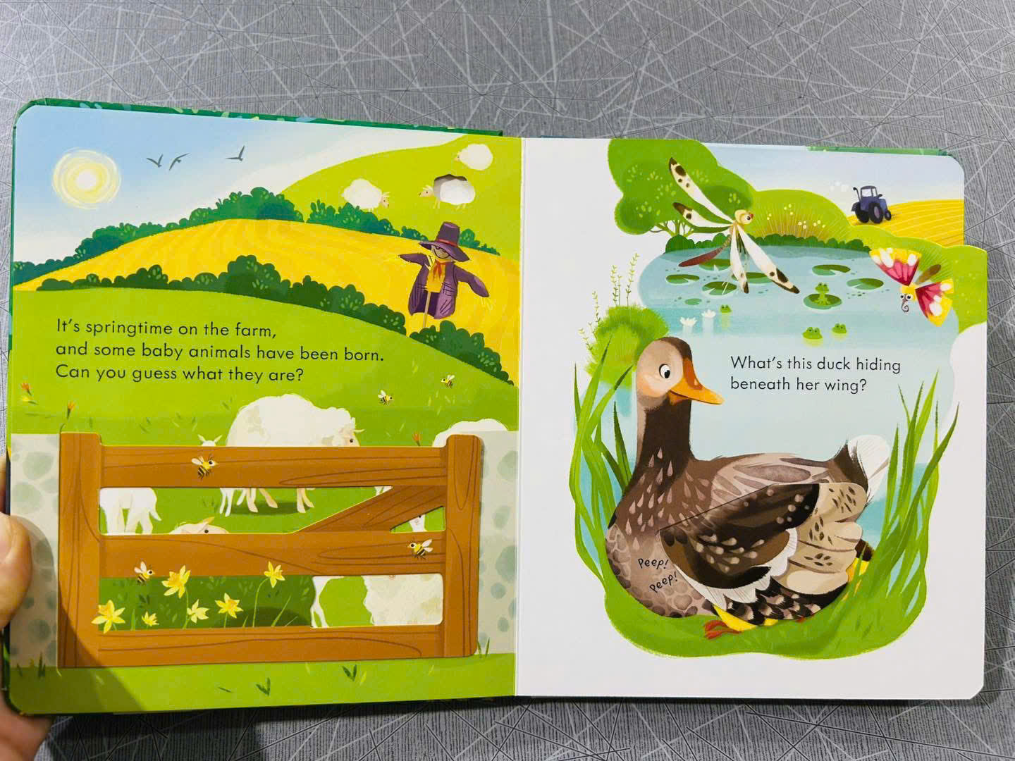 z7126626373021_42313395d3c14891d03d81ed33624f88 z7126626373021 42313395d3c14891d03d81ed33624f88