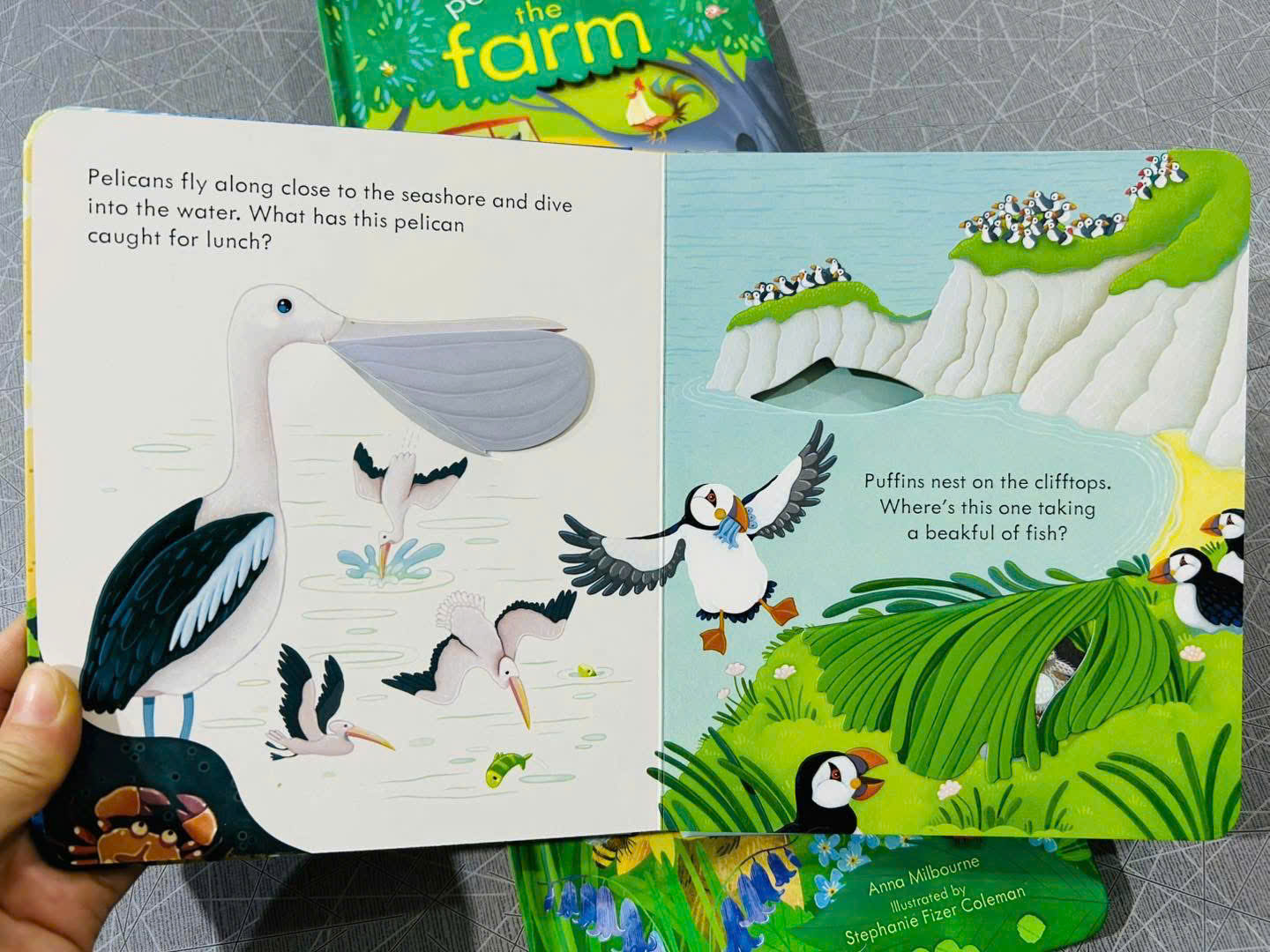 z7126626506165_c6d49e4f606062a2e67e886341bcadb9 z7126626506165 c6d49e4f606062a2e67e886341bcadb9