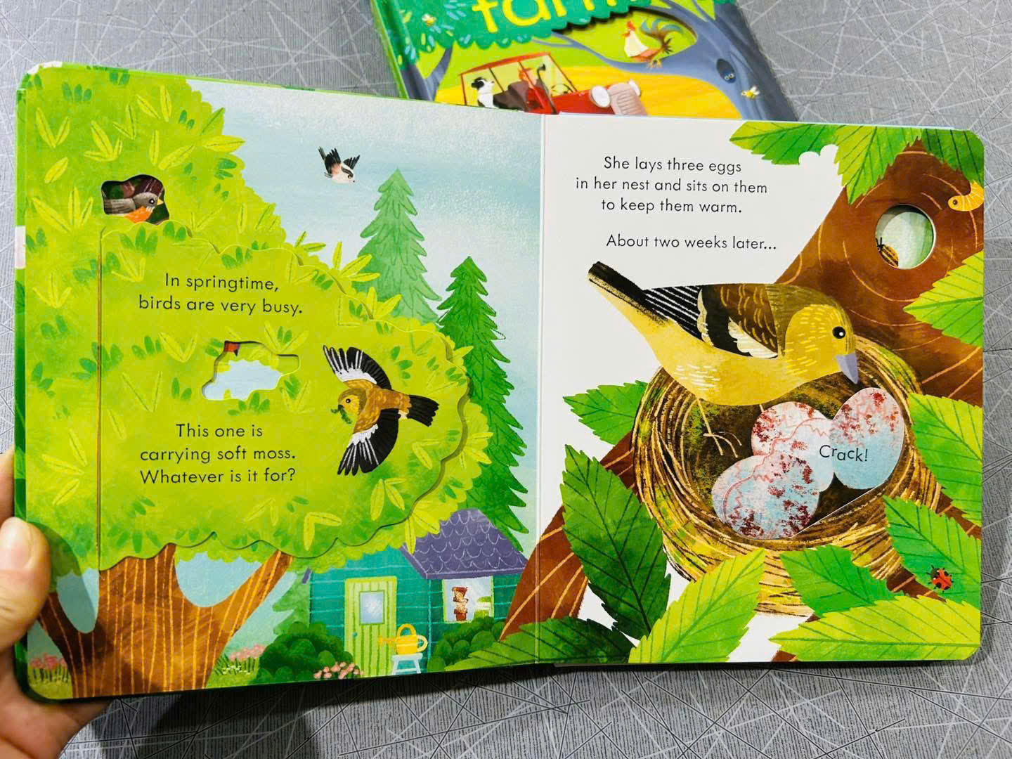 z7126626529497_5ae26e9c5a9946ab832bb3faaf36196c z7126626529497 5ae26e9c5a9946ab832bb3faaf36196c