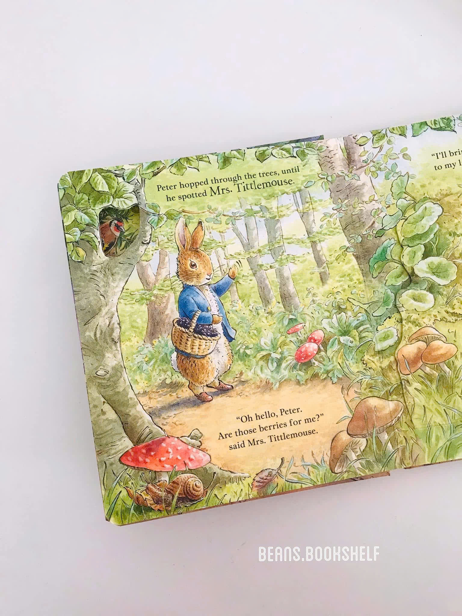 z7126627099614_a064aea03f6bea487f667569d6cb1c89 z7126627099614 a064aea03f6bea487f667569d6cb1c89