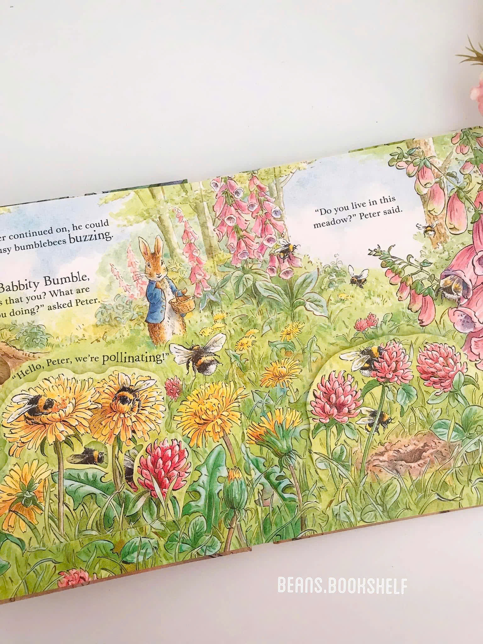 z7126627143716_2a49a6d7782d369a058032625073f23b z7126627143716 2a49a6d7782d369a058032625073f23b