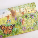 z7126627255240 207c57a4f9a3a7e2bd1fcc375c1e861c