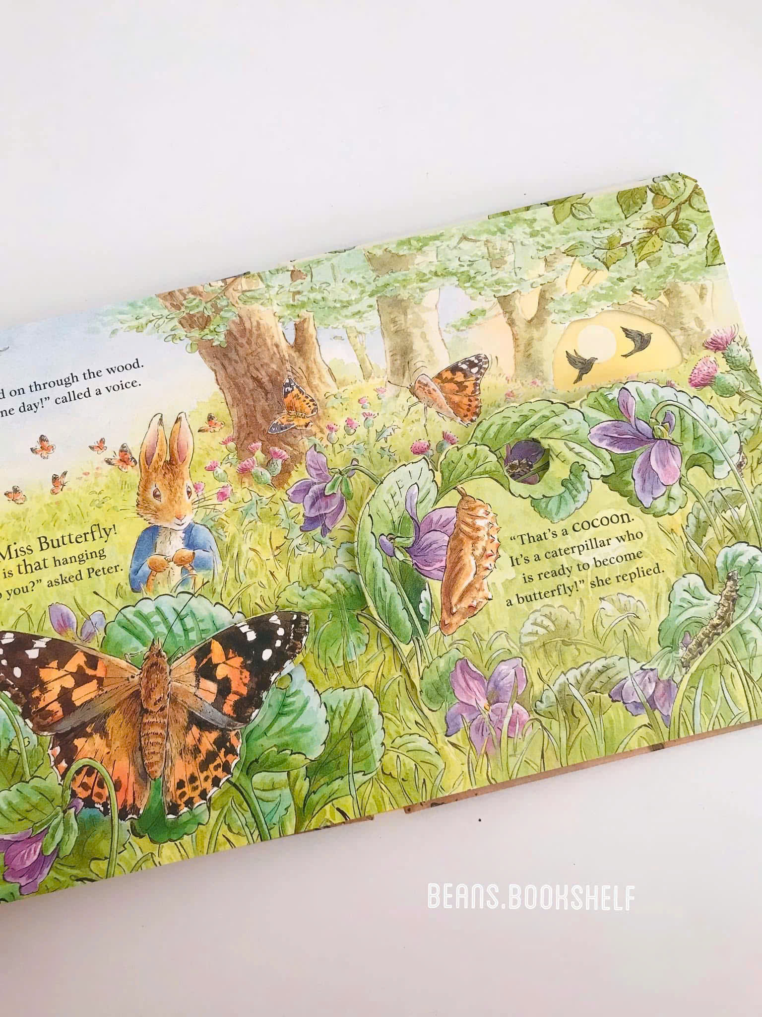 z7126627255240_207c57a4f9a3a7e2bd1fcc375c1e861c z7126627255240 207c57a4f9a3a7e2bd1fcc375c1e861c