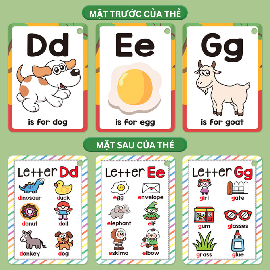 Mặt trước - mặt sau