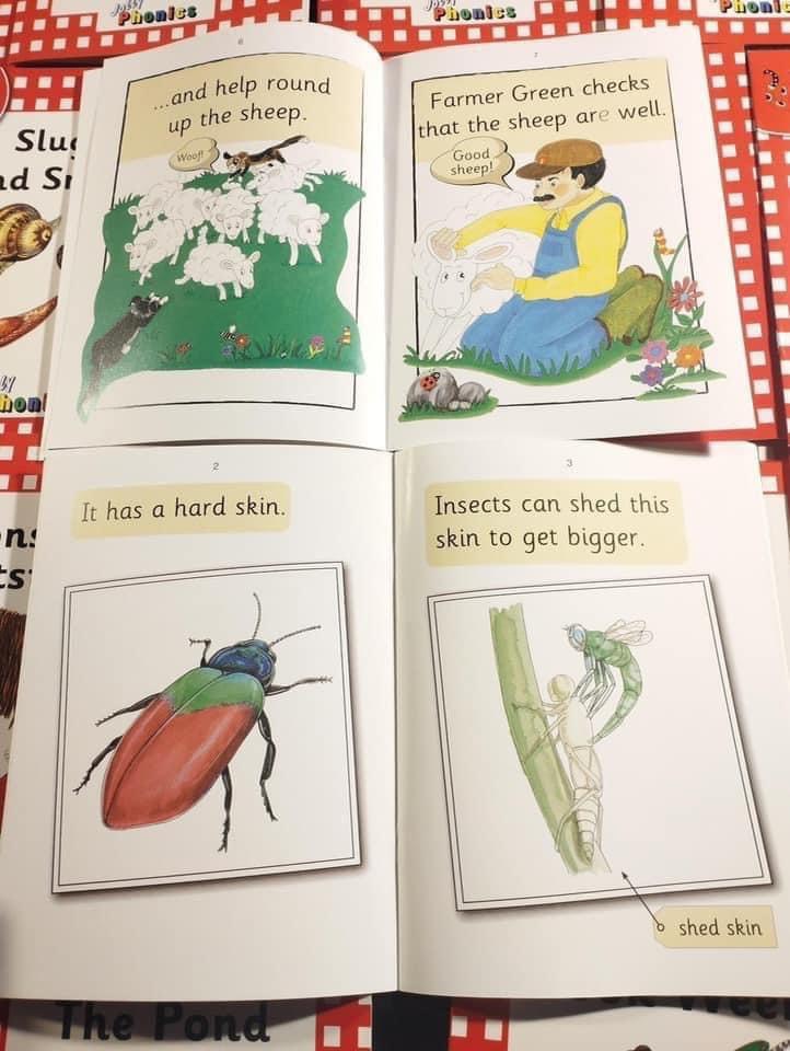 4-1733535753195 4 1733535753195