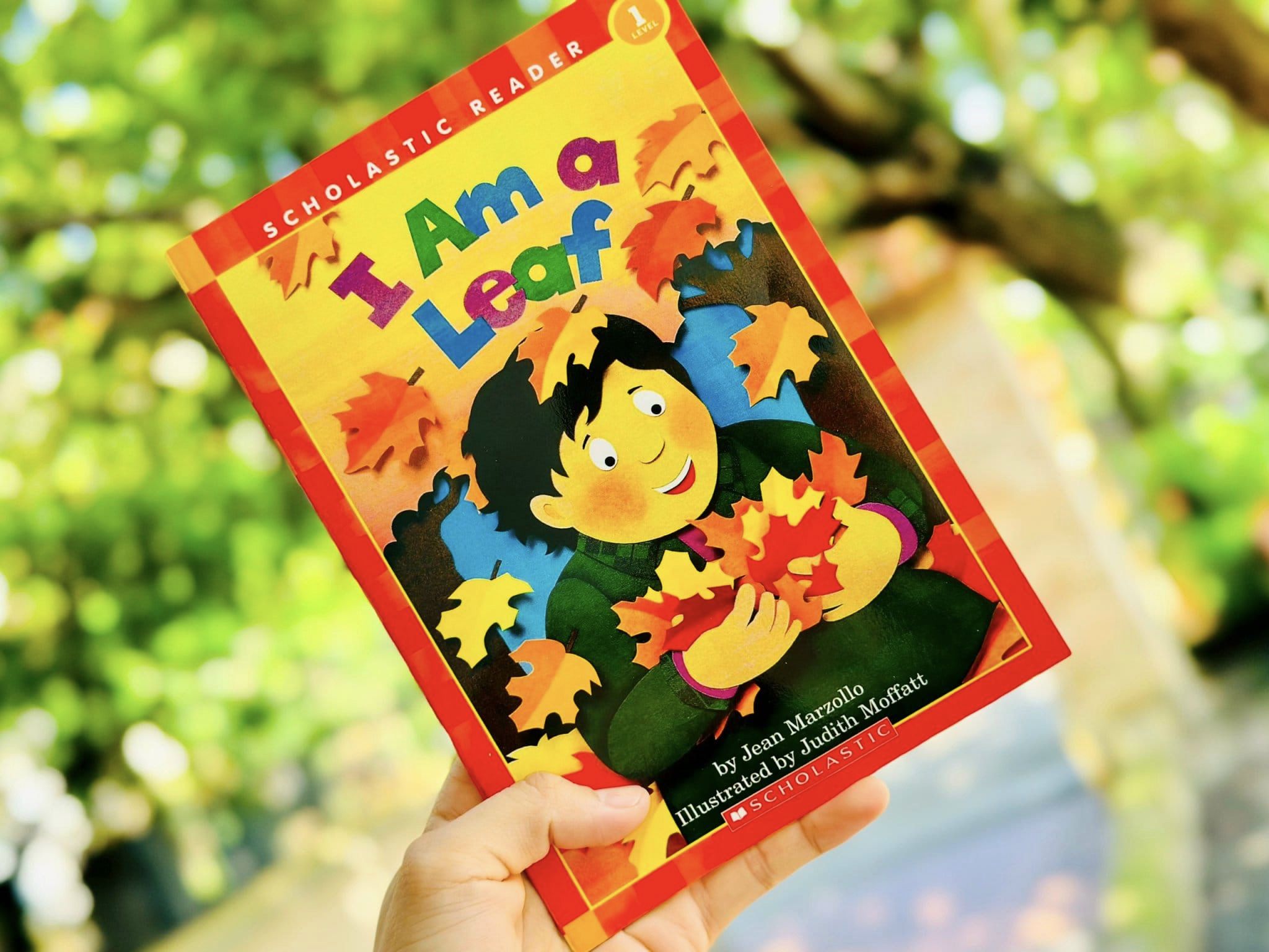 435590637_401284256189619_5916194054437791301_n 435590637 401284256189619 5916194054437791301 n