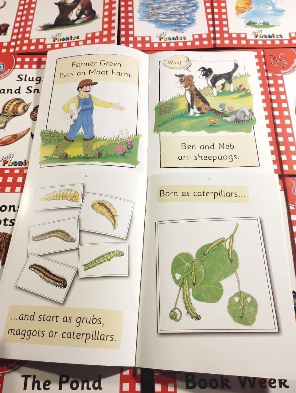 6-1733535753200 6 1733535753200