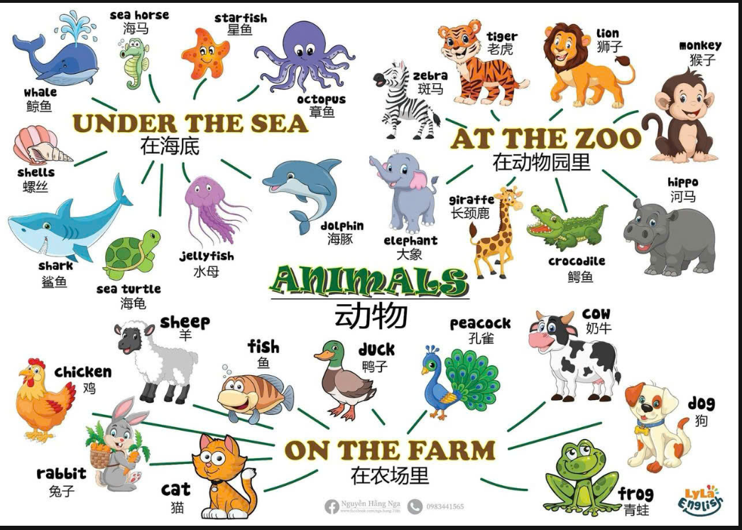 Mindmap 28 chủ đề Song Ngữ Anh Trung image 1744444768910