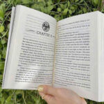 z7089663891470 9c6b90f914a4059e2aea691e18af31bb