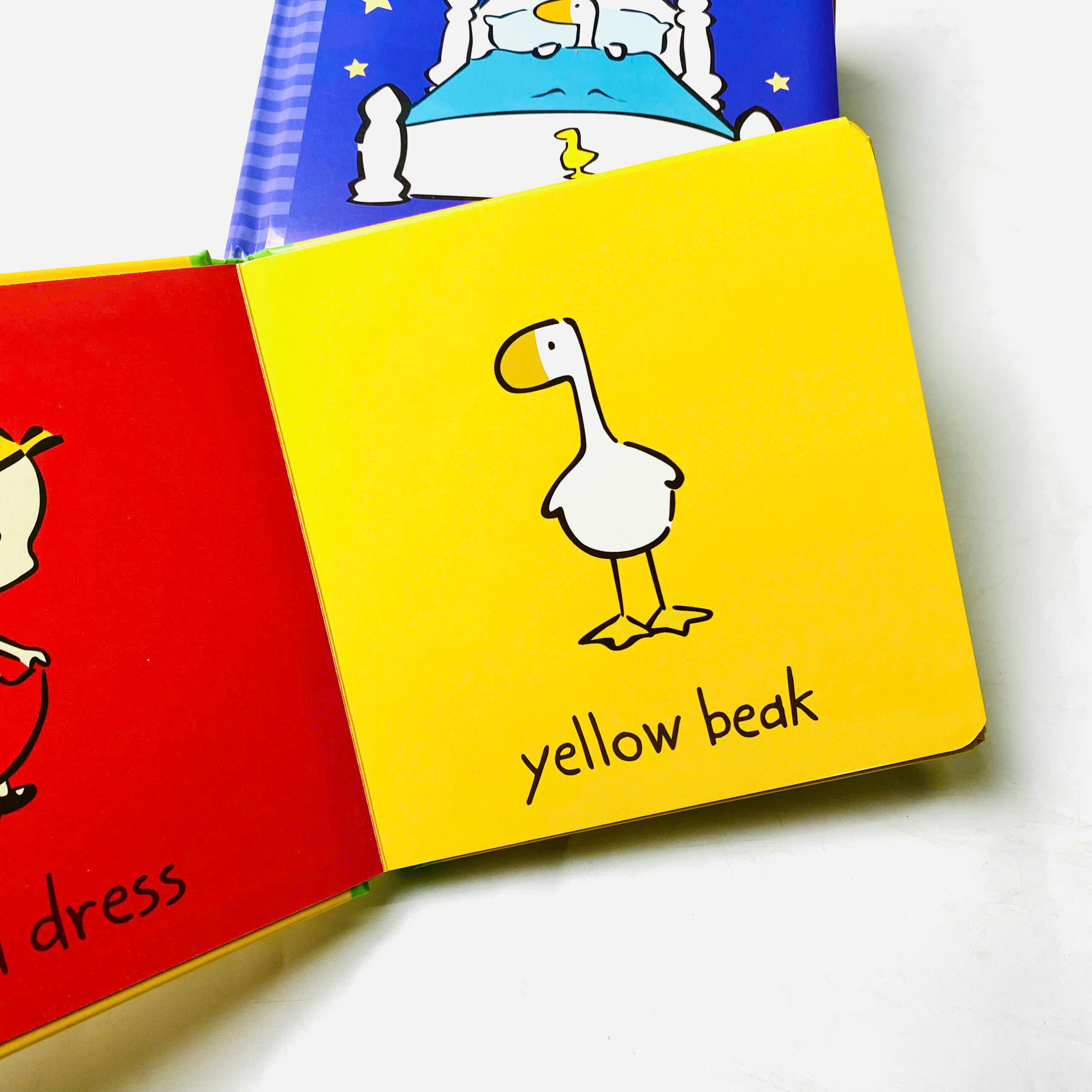 z7233593976081_2a767c46bcf058829c36fefdf58cbf08 z7233593976081 2a767c46bcf058829c36fefdf58cbf08 scaled