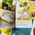 z5421073384562 bfdc91598f2a68dc66f10e64a361fe91