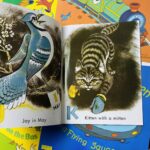 z5421074018907 85d5c8390c9420046e3b74916152bb1c