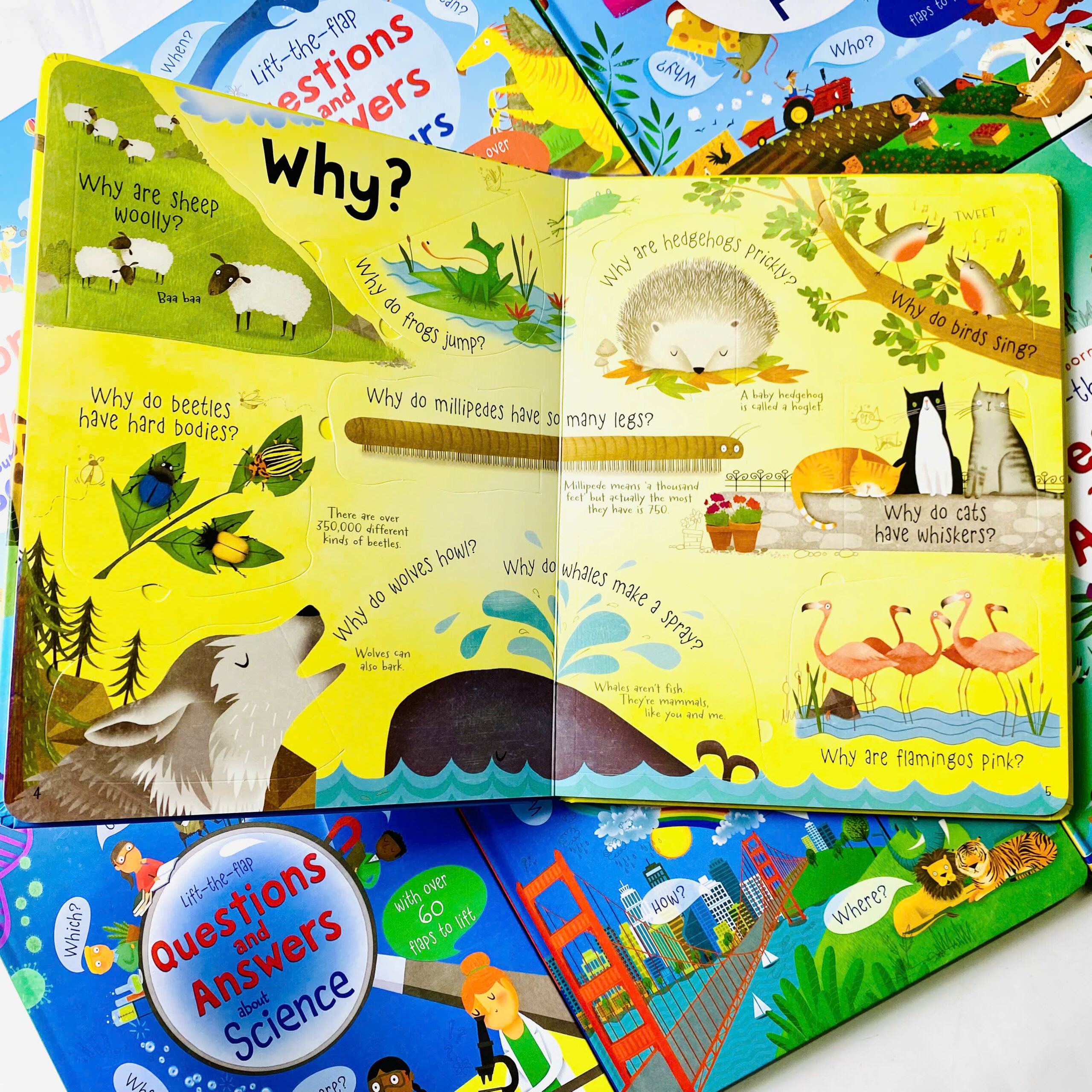 z7318387870308_cd60e2fae569d0b776be1b115af3fc20 z7318387870308 cd60e2fae569d0b776be1b115af3fc20 scaled