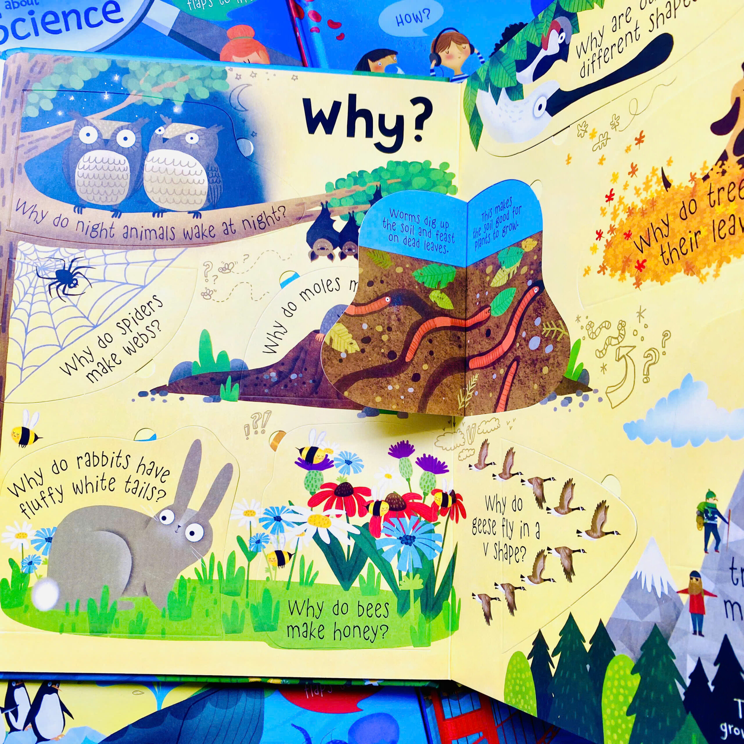 z7318387922377_5fdc92746fa42c908e1f247f676617f2 z7318387922377 5fdc92746fa42c908e1f247f676617f2 scaled