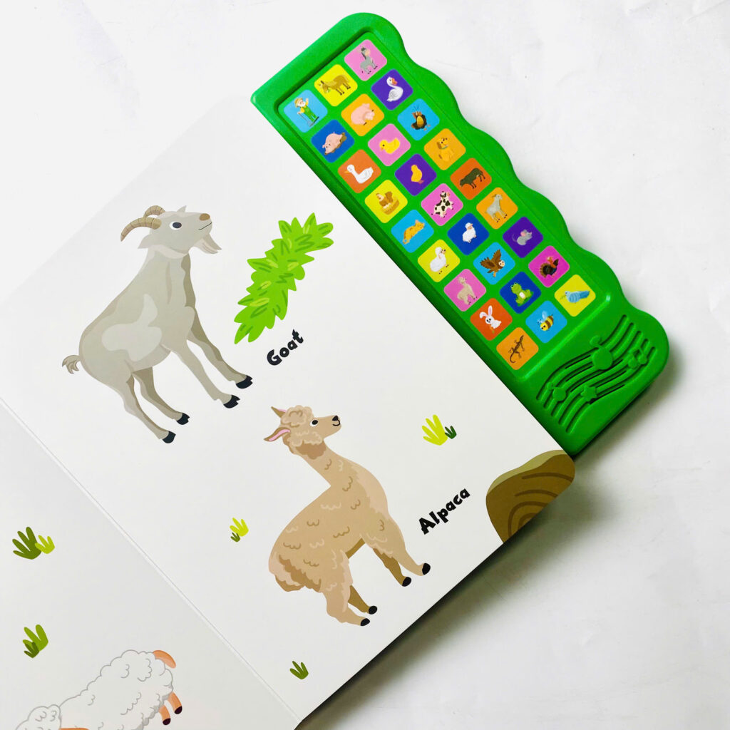 z7338701719343 8bccaae3519374ff6b7d4862b9a1dc34