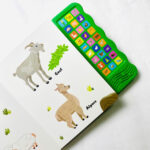 z7338701719343 8bccaae3519374ff6b7d4862b9a1dc34