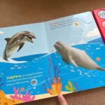 z7359490059954 ab5098546eb14cc9a63829b6e23468d7