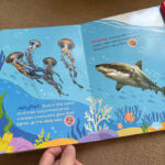 z7359490059955 fdf88d71373059387808c2097d02a3ec